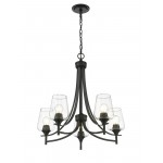 Z-Lite 5 Light Chandelier