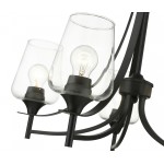 Z-Lite 5 Light Chandelier
