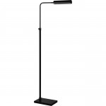 Fadia Matte Black Iron Floor Lamp