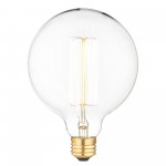 Arc Clear Incandescent Light Bulb