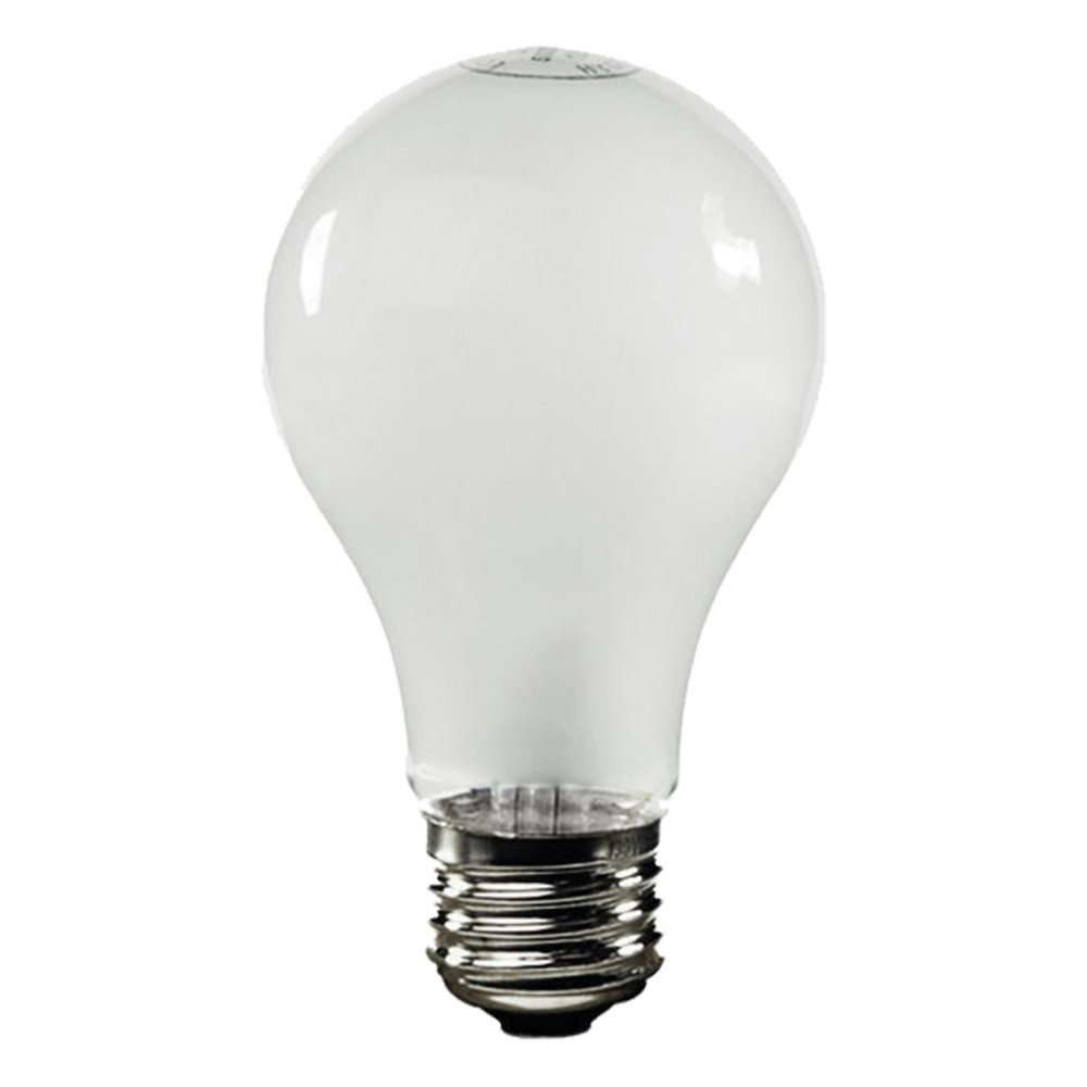 Galley Etched Glass Light Bulb