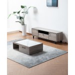 Apollo Gray Oak Finish TV Stand and Coffee Table Set