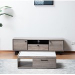 Apollo Gray Oak Finish TV Stand and Coffee Table Set