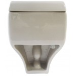 EAGO TB108 One Piece High Efficiency Low Flush Eco-Friendly Ceramic Toilet