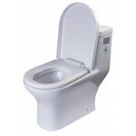 EAGO TB353 Dual Flush One Piece Eco-Friendly Low Flush Ceramic Toilet