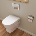 EAGO WD332 Round Modern Wall Mount Dual Flush Toilet Bowl