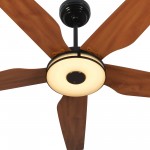 Elira 56-Inch Indoor/Outdoor Smart Ceiling Fan - Golden Diamond