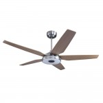 Elira 52-Inch Indoor/Outdoor Smart Ceiling Fan - Light Amber