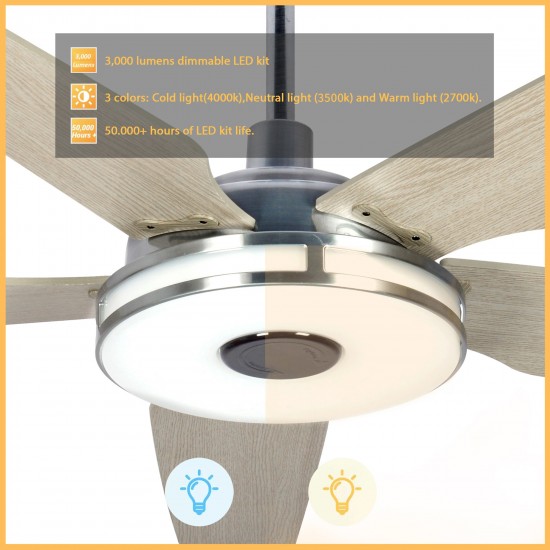 Elira 52-Inch Indoor/Outdoor Smart Ceiling Fan - Light Amber