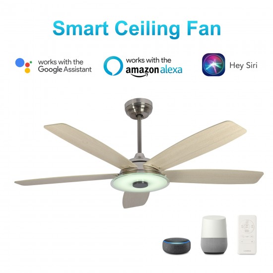 Journey 56-Inch Indoor/Outdoor Smart Ceiling Fan