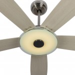 Journey 56-Inch Indoor/Outdoor Smart Ceiling Fan