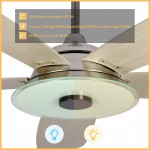 Journey 52-Inch Indoor/Outdoor Smart Ceiling Fan - Clear