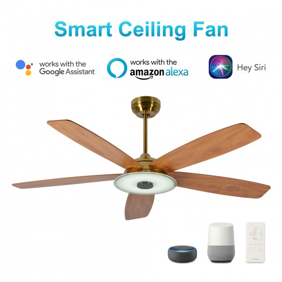 Journey 52-Inch Indoor/Outdoor Smart Ceiling Fan - Amber