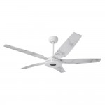 Elira 56-Inch Indoor/Outdoor Smart Ceiling Fan - Clear