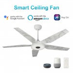 Elira 56-Inch Indoor/Outdoor Smart Ceiling Fan - Clear