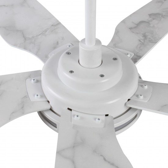 Elira 56-Inch Indoor/Outdoor Smart Ceiling Fan - Clear