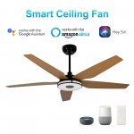 Elira 56-Inch Indoor/Outdoor Smart Ceiling Fan - Forest Green