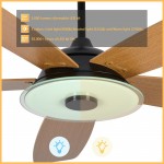 Journey 56-Inch Indoor/Outdoor Smart Ceiling Fan - Amber