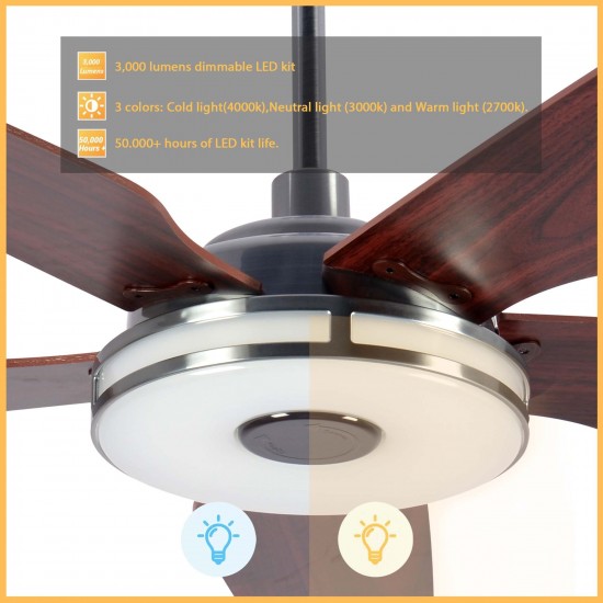 Elira 56-Inch Indoor/Outdoor Smart Ceiling Fan - Matte Black