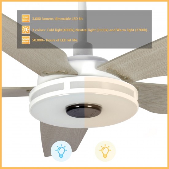 Elira 52 Inch 5-Blade Smart Ceiling Fan - White