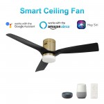 Spezia 52 Inch 3-Blade Smart Ceiling Fan - Gold