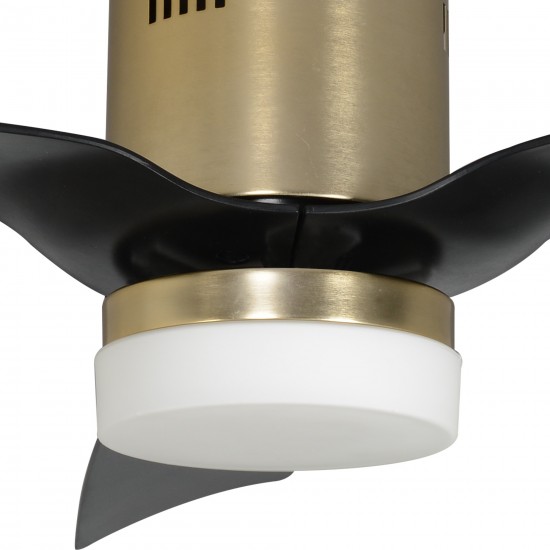 Spezia 52 Inch 3-Blade Smart Ceiling Fan - Gold