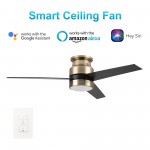 Raiden 52 Inch 3-Blade Smart Ceiling Fan - Gold