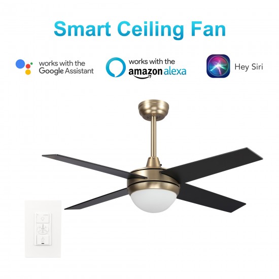 Neva 48 Inch 4-Blade Smart Ceiling Fan - Gold