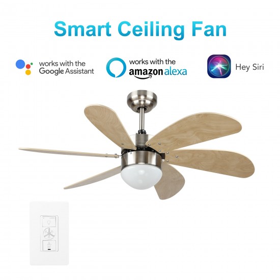 Metanoia 38 Inch 6-Blade Smart Ceiling Fan - Silver