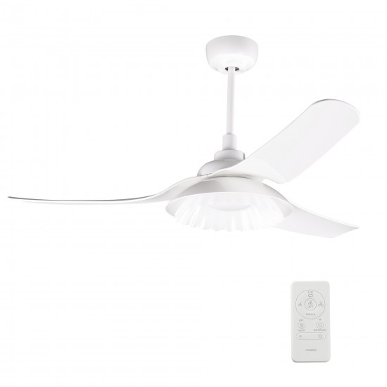 Daffodil 52 Inch 3-Blade Smart Ceiling Fan - White/White