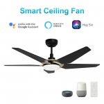 Woodrow 52 Inch 5-Blade Smart Ceiling Fan - Black/Black (Gold Detail)