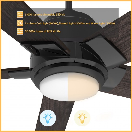 Ascender 52 Inch 5-Blade Smart Ceiling Fan - Black/Walnut Wood