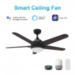 Solasta 52 Inch 5-Blade Smart Ceiling Fan - Black