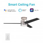 Raiden 52 Inch 3-Blade Smart Ceiling Fan - Silver/Black