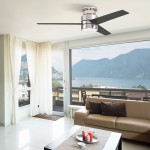 Raiden 52 Inch 3-Blade Smart Ceiling Fan - Silver/Black