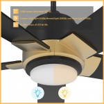 Ascender 52 Inch 5-Blade Smart Ceiling Fan - Black/Black (Gold Detail)