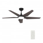 Woodrow 52 Inch 5-Blade Smart Ceiling Fan - Black