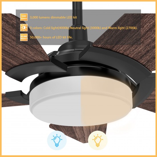 Woodrow 52 Inch 5-Blade Smart Ceiling Fan - Black