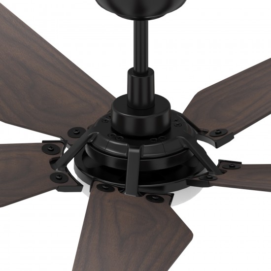 Woodrow 52 Inch 5-Blade Smart Ceiling Fan - Black