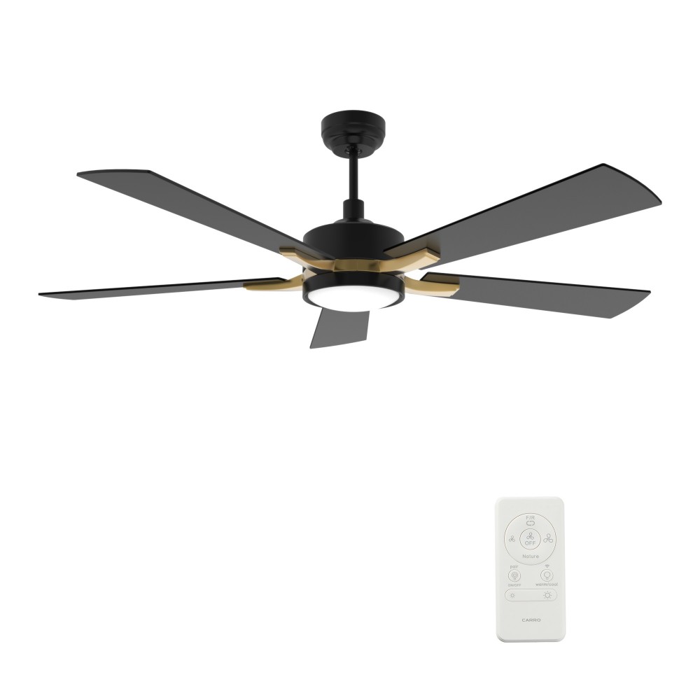 Appleton 52 Inch 5-Blade Smart Ceiling Fan - Black/Black