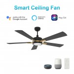 Appleton 52 Inch 5-Blade Smart Ceiling Fan - Black/Black