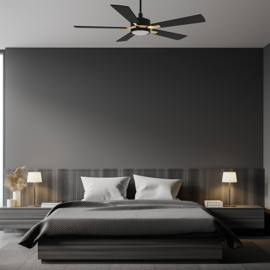 Appleton 52 Inch 5-Blade Smart Ceiling Fan - Black/Black