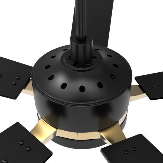 Appleton 52 Inch 5-Blade Smart Ceiling Fan - Black/Black