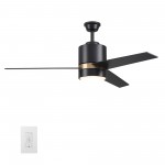 Raiden 52 Inch 3-Blade Smart Ceiling Fan - Black