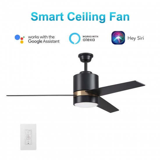 Raiden 52 Inch 3-Blade Smart Ceiling Fan - Black