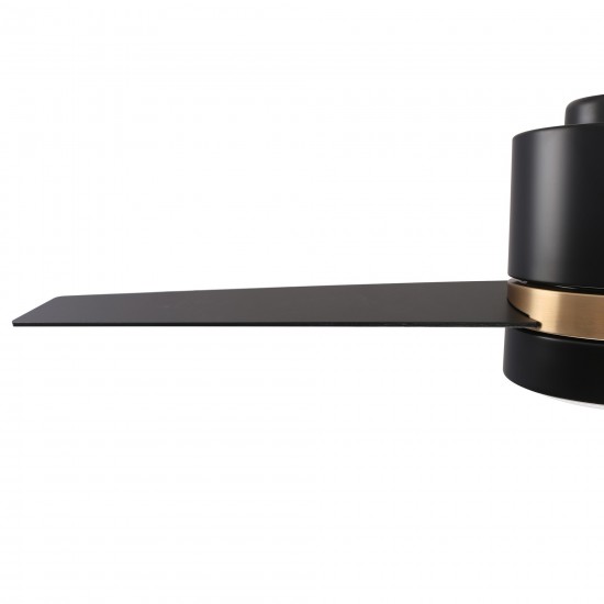 Raiden 52 Inch 3-Blade Smart Ceiling Fan - Black