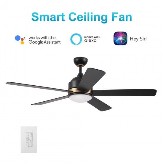 Simoy 52 Inch 5-Blade Smart Ceiling Fan - Black