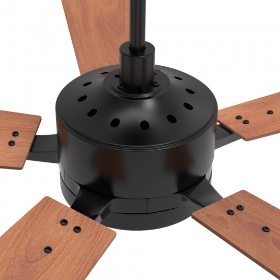 Appleton 56 Inch 5-Blade Smart Ceiling Fan - Black/ Walnut Wood