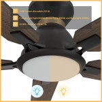 Espear 52 Inch 5-Blade Smart Ceiling Fan - Black/Barnwood (Reversible Blades)