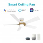 Ascender 52 Inch 5-Blade Flush Mount Smart Ceiling Fan - White